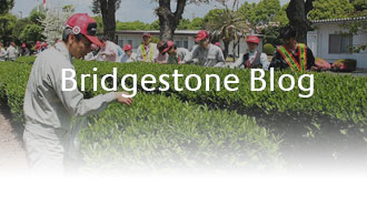 Bridgestone Blog